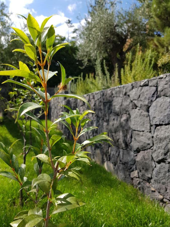 Design Villa in Piedimonte Etneo Exterior foto